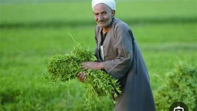 حكايه الكلمه الجارحه